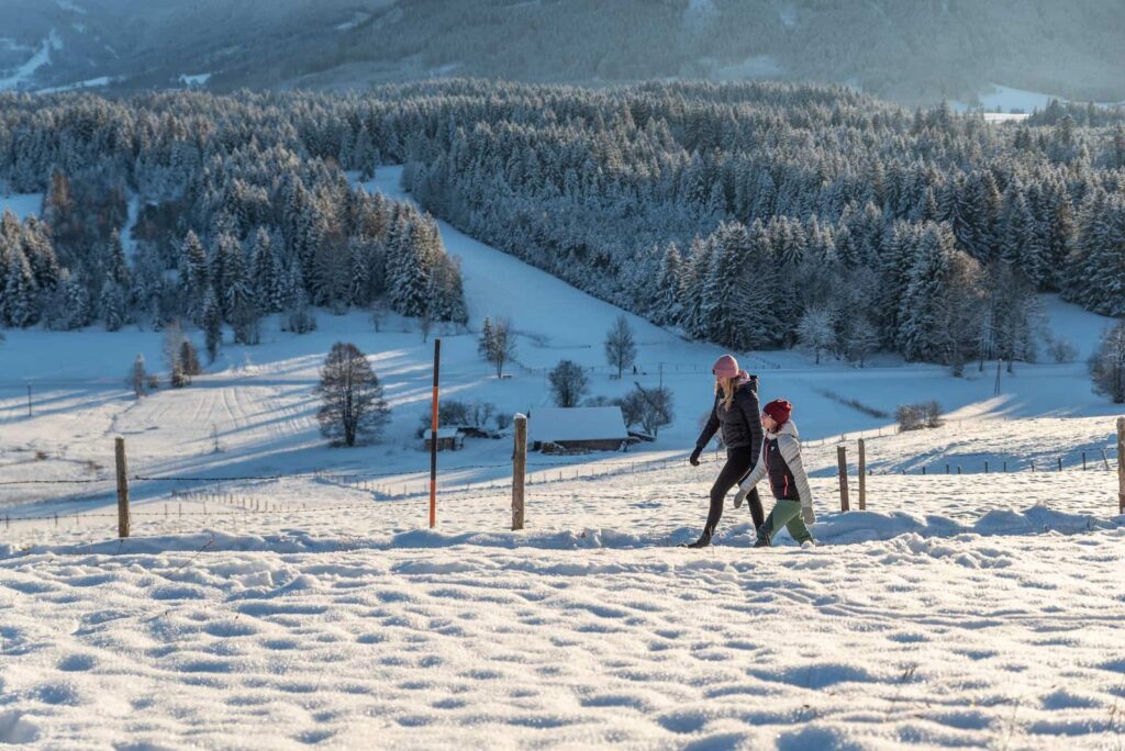 Winterwandern in Bayern in Amergauer Alpen 